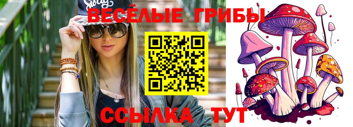 сколько стоит  Вход с VPN  Гудермес  Галлюциногенные грибы GOLDEN TEACHER  Псилоцибиновые грибы прущие грибы 